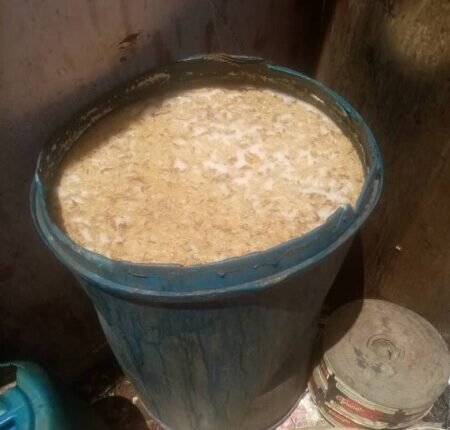 خمور بلدية في السودان
